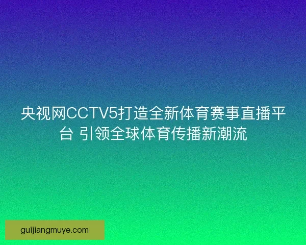 央视网CCTV5打造全新体育赛事直播平台 引领全球体育传播新潮流