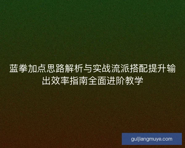 蓝拳加点思路解析与实战流派搭配提升输出效率指南全面进阶教学