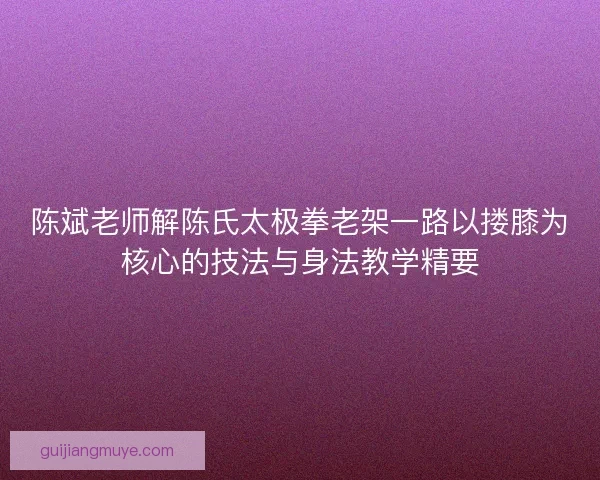 陈斌老师解陈氏太极拳老架一路以搂膝为核心的技法与身法教学精要