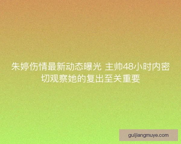 朱婷伤情最新动态曝光 主帅48小时内密切观察她的复出至关重要